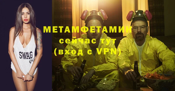 сатива Коряжма