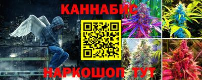 шишки Гусиноозёрск