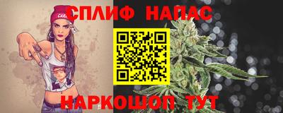 стафф Гусев