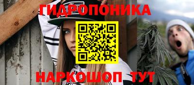 метадон Берёзовский