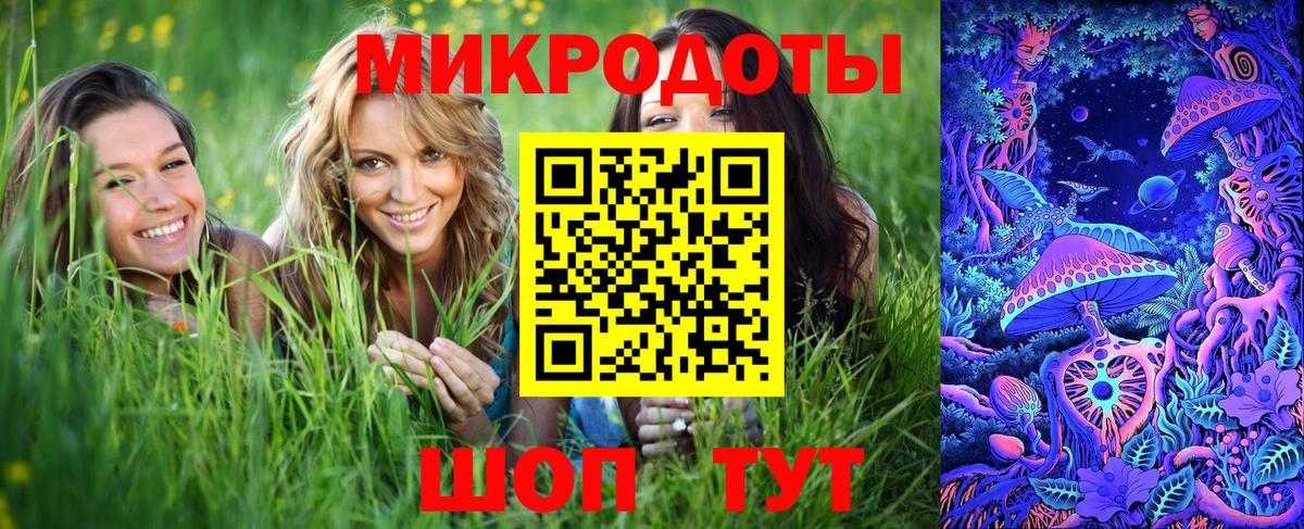 Галлюциногенные грибы Psilocybe  Псилоцибиновые грибы мицелий  Вход с VPN  Лыткарино 