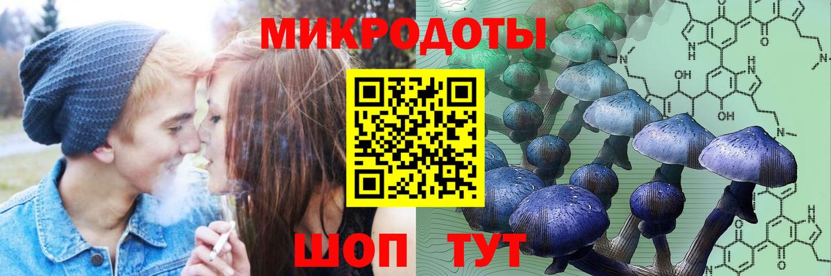 Псилоцибиновые грибы MAGIC MUSHROOMS Лыткарино