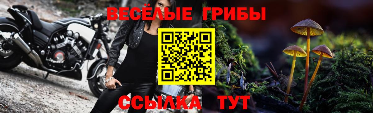Галлюциногенные грибы прущие грибы Лыткарино